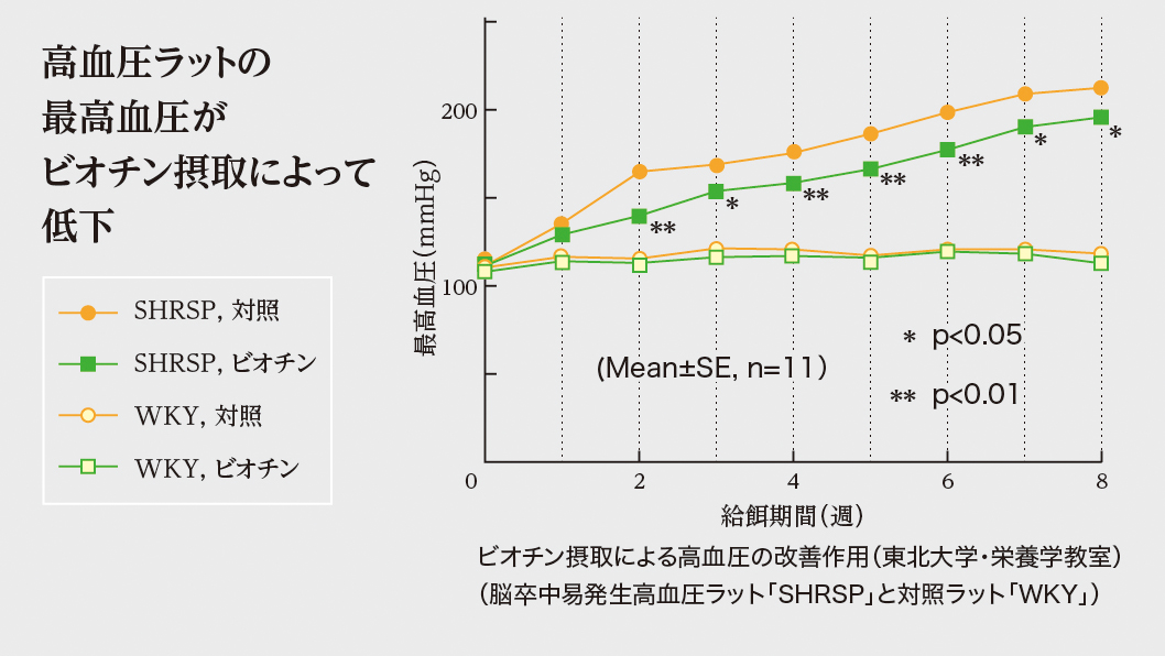 biotin01